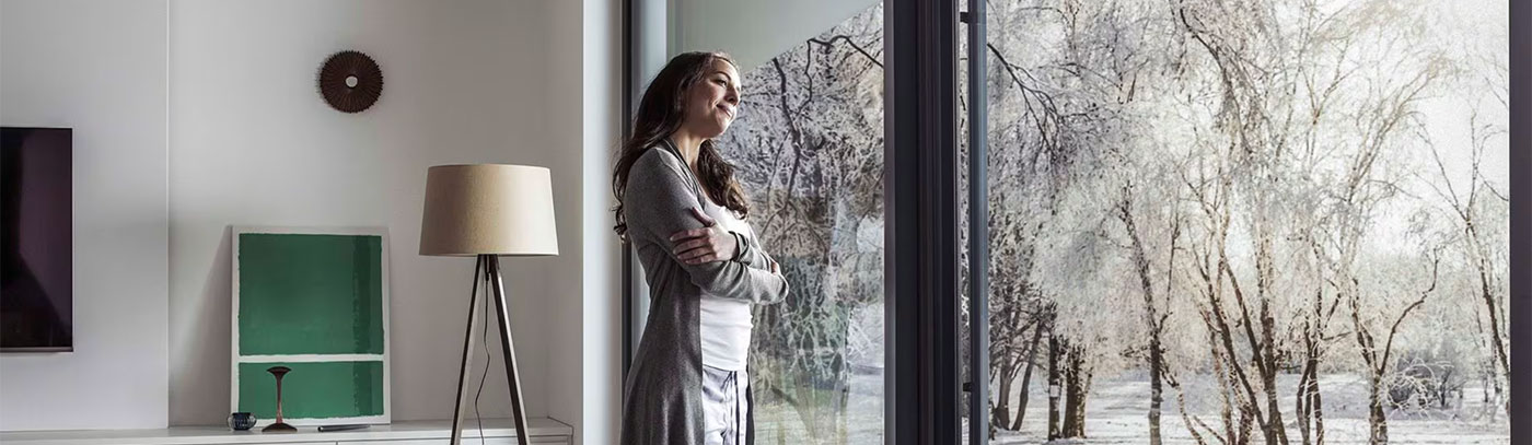 rehau windows